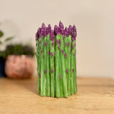 Asparagus Vase