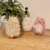 Buff Fluffy Chick