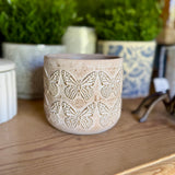 Small Butterfly Pot