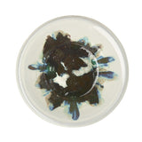 White Terracotta Bowl