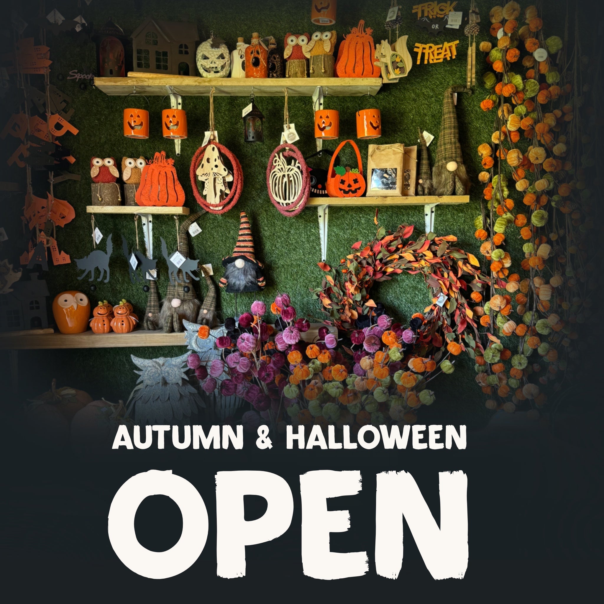 Autumn & Halloween 2026 OPEN!