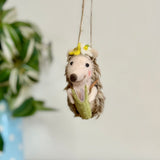 Spring Hedgehog with Book