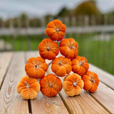 10 Orange Pumpkin Sticks