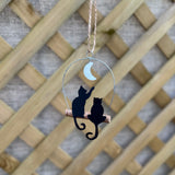 Cats and the Moon