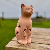 Terracotta Star Cat