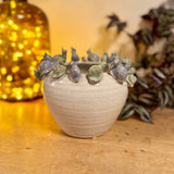 Large Pot with Snails