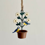 Blue Tit on Flower Pot Hanging
