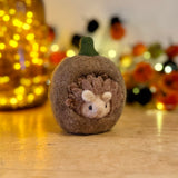 Felt Hedgehog in Pumpkin