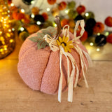 Coral Faux Pumpkin