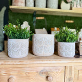 Cement Butterfly Pot Set