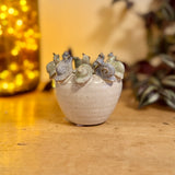 Small Pot with Snails