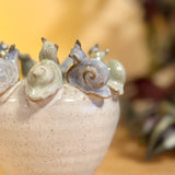 Small Pot with Snails