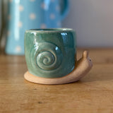 Snail Plant Pot