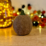 Felt Hedgehog in Pumpkin