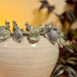 Large Pot with Snails