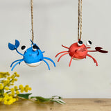 Pair of Crazy Crabs