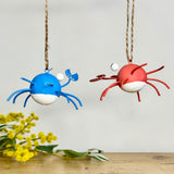 Pair of Crazy Crabs