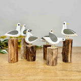 Group of 6 Gulls on Groynes