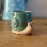 Snail Plant Pot