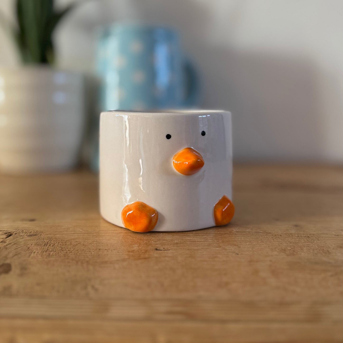 IMPERFECT Duck Pot