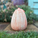 Small Terracotta Leaf Pumpkin