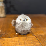 Grey Fur Owl