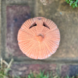 X Small Terracotta Fang Pumpkin