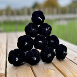 10 Black Pumpkin Sticks