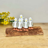 Seagulls on Standing on Log
