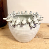 Medium Pot with Perching Blue Birds