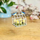 Hanging Greenhouse with Blue Tits