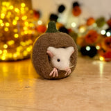 Felt Mouse in Pumpkin