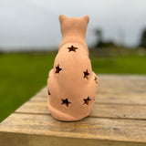 Terracotta Star Cat