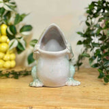 Porcelain Frog Pot