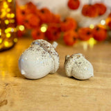 Pair of Rustic Ceramic Acorns