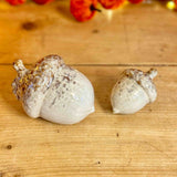 Pair of Rustic Ceramic Acorns