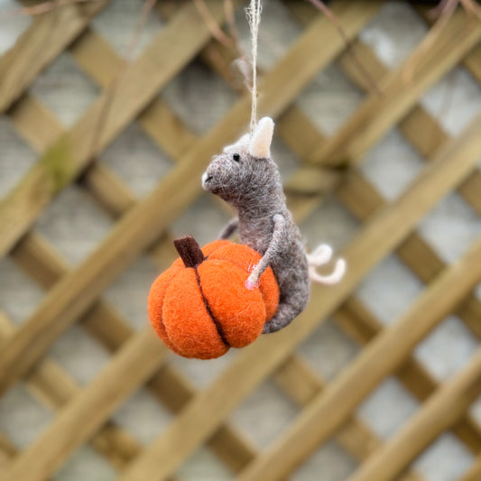 Wool Mouse With Pumpkin