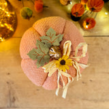 Coral Faux Pumpkin