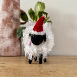 Woolly Sheep Stuck in Fairy Lights