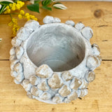 Medium Cement Mushroom Pot