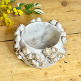 Small Cement Mushroom Pot