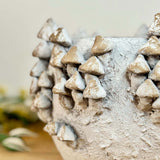 Large Cement Mushroom Pot