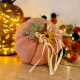Coral Faux Pumpkin