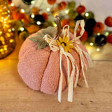 Coral Faux Pumpkin