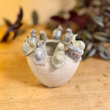 Small Pot with Snails