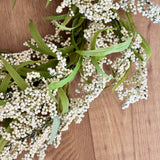 White Choisya Wreath
