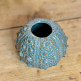 Urchin Ceramic Stem Vase