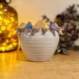 Medium Pot with Perching Coloured Birds