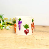 Ceramic Vegetable Plant Pot