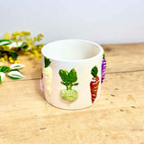 Ceramic Vegetable Plant Pot
